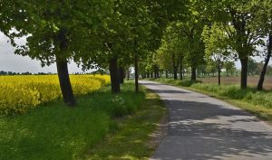 Hjulskifte och däckbyte hos IA Bil
